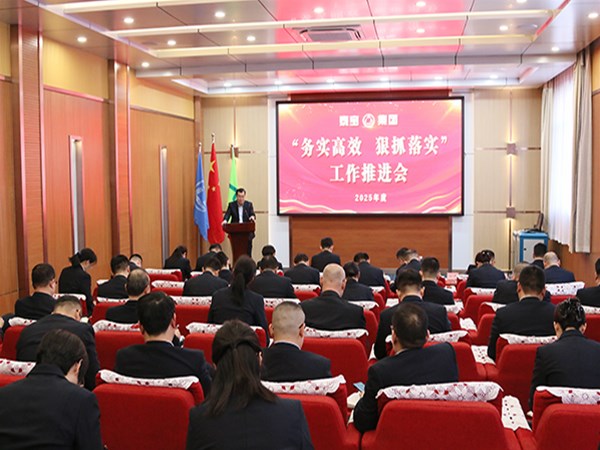 泰寶集團召開“務實高效 狠抓落實”工作推進會